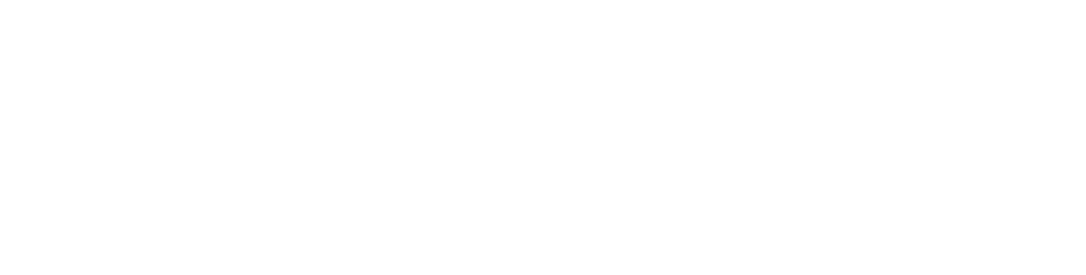 THE JAPANESE PRIDE